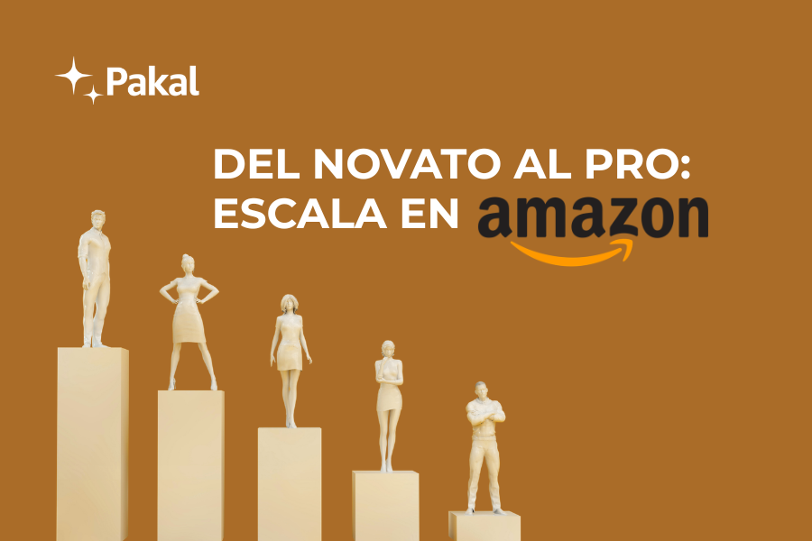 5 niveles de Implementación de Estrategias en Amazon