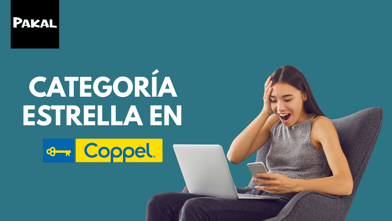 Top categorías de productos más vendidos en Coppel en línea